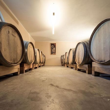Villa Weingut Dona Appiano Sulla Strada Del Vino Exterior foto