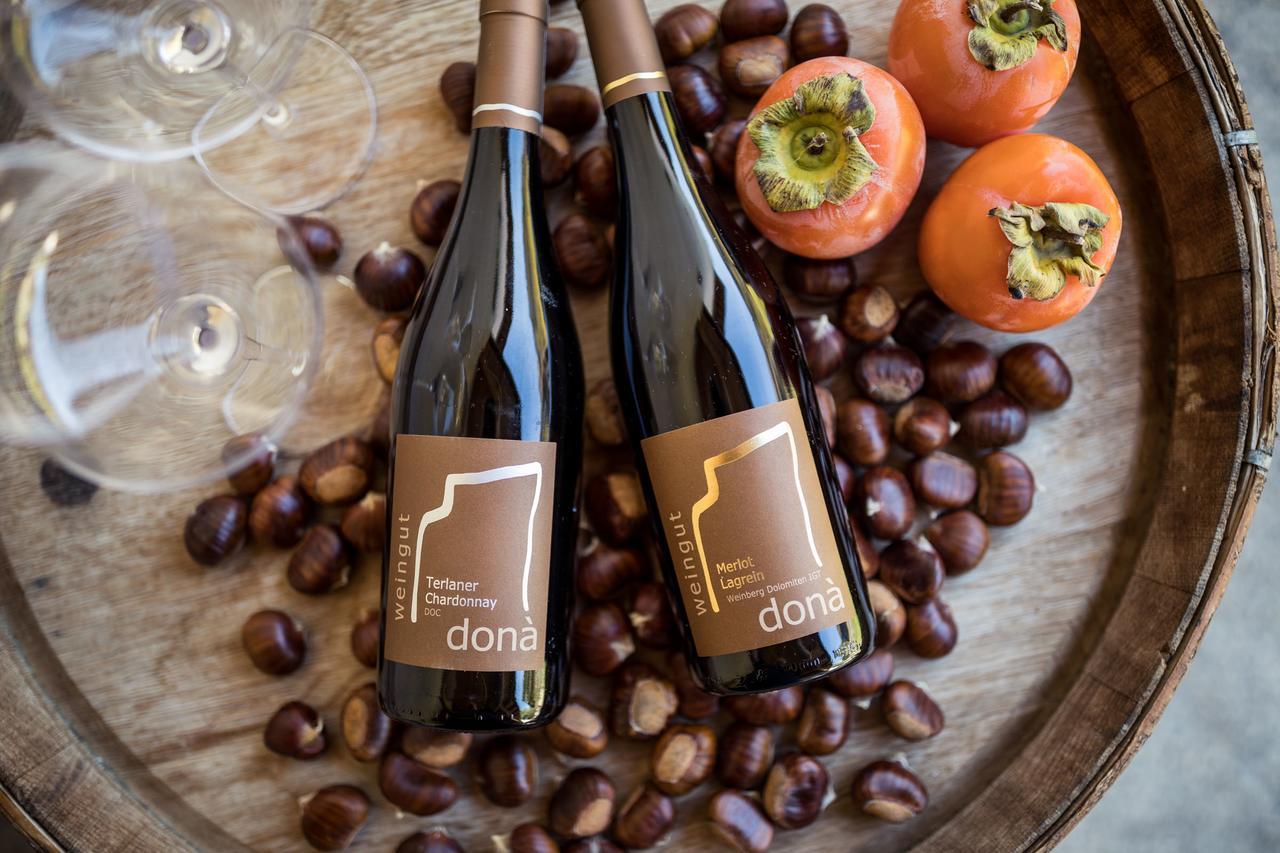 Villa Weingut Dona Appiano Sulla Strada Del Vino Exterior foto