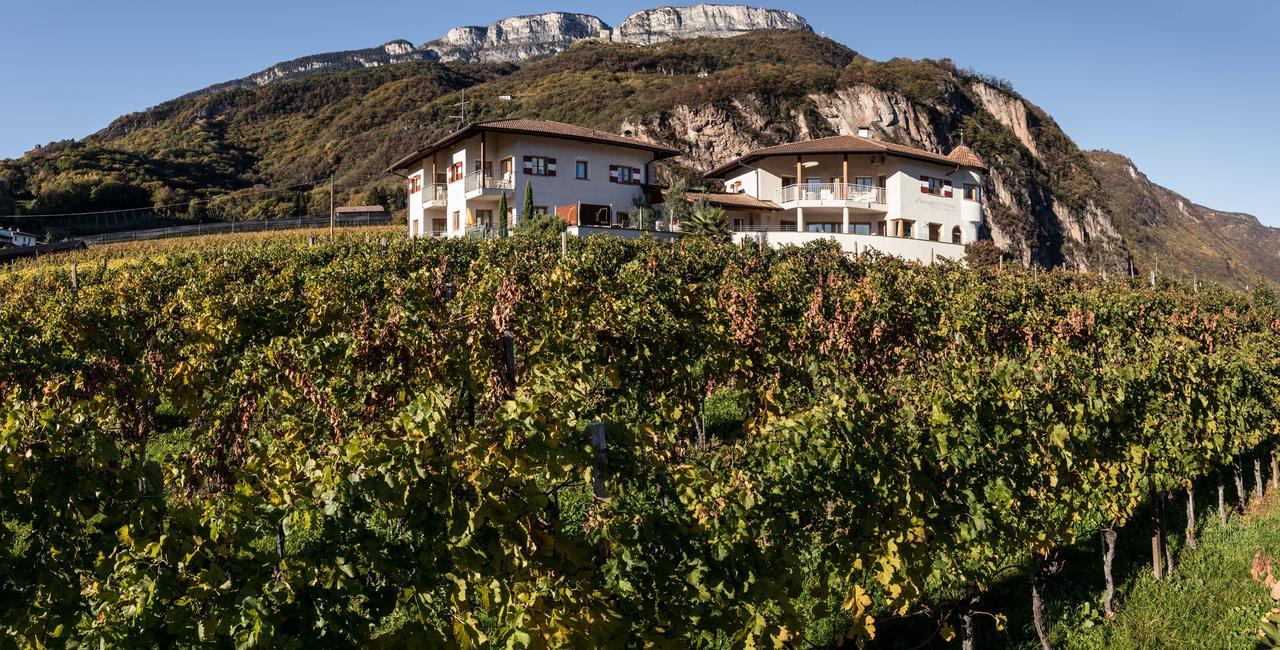 Villa Weingut Dona Appiano Sulla Strada Del Vino Exterior foto